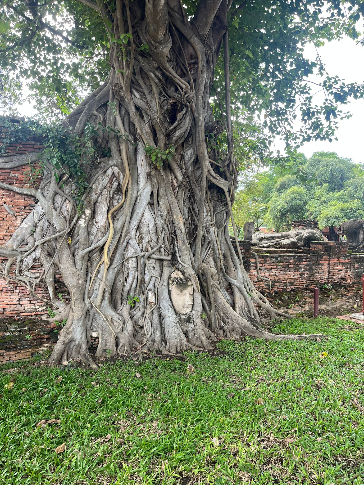 38c874e6-ed2a-44b4-9bb2-405dafe28c7e